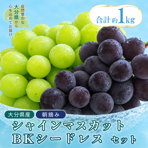 大分県産 シャインマスカット&BKシードレス 約1kgセット 2B9