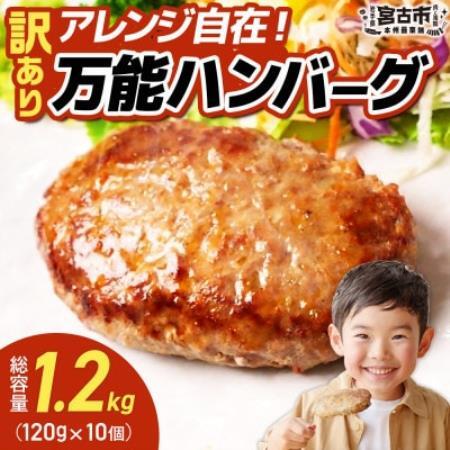 [訳あり]万能ハンバーグ1.2kg(120g×10個) 冷凍のまま10分で焼ける[配送不可地域:離島]