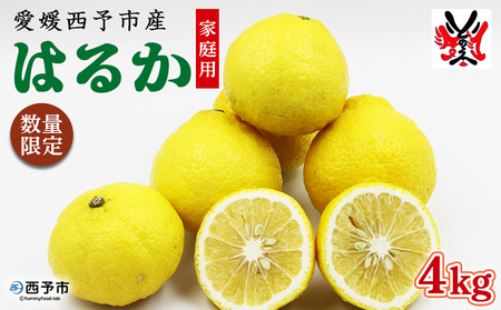 ＜愛媛西予市産 はるか 家庭用 約4kg＞ 柑橘 果物 フルーツ ミカン みかん オレンジ 特産品 渡江から一歩を踏み出す会 食べて応援 特産品 愛媛県 西予市 【常温】『2026年1月下旬～4月上旬迄に順次出荷予定』ATI0012