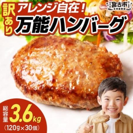 [訳あり]万能ハンバーグ3.6kg(120g×30個) 冷凍のまま10分で焼ける[配送不可地域:離島]