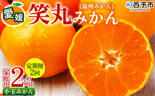 [愛媛県明浜産 笑丸みかん(温州みかん)定期便2回 約2kg 小玉サイズ] 家庭用 訳あり ワケアリ 果物 くだもの フルーツ ミカン 柑橘 特産品 笑丸 愛媛県 西予市[常温]『2026年11月頃に第1回目順次出荷予定』AAN0109