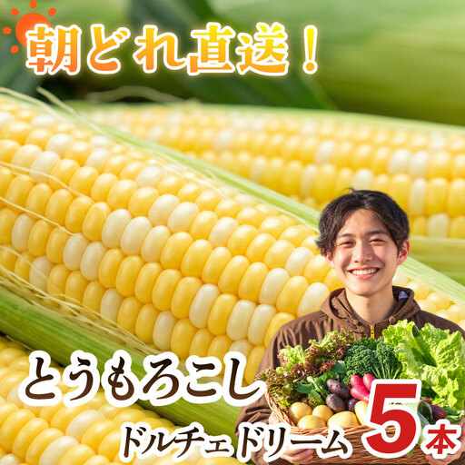 [とうもろこし 5本 ]11月発送 ドルチェドリーム 静岡 県 牧之原市 t.p.C farm 堀内農園