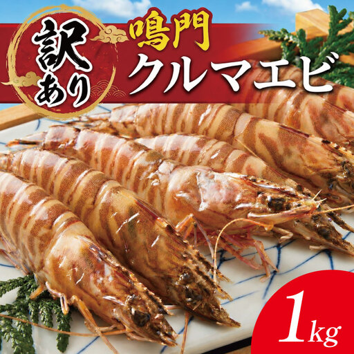訳あり 車海老 1kg クルマエビ 車エビ