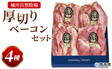 [城川自然牧場 厚切りベーコンセット(100g×4種)] スライス ガーリックベーコン ショルダーベーコン 七味 豚肉 加工品 おかず おつまみ ギフト 贈答用 城川ファクトリー 愛媛県 西予市[冷蔵]『1か月以内に順次出荷予定』SSF0014