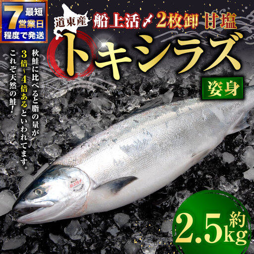 [ 7日程度で発送 ] 定置網漁法 [ 道東産 ] 船上活〆トキシラズ 2枚卸姿身 2.5kg 甘塩 時鮭 鮭 さけ サケ シャケ 魚 魚類 魚介 魚介類 おつまみ おかず お惣菜 惣菜 酒の肴 姿身 海鮮 冷凍