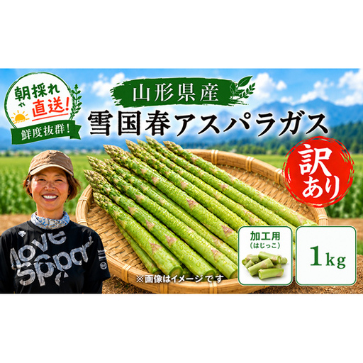 [令和9年産先行予約] 訳あり 雪国春アスパラガス 約1kg (はじっこ 加工用) [令和9年5月中旬〜発送] 『情野農園』 グリーン 山形南陽産 農家直送 山形県 南陽市 [2735]