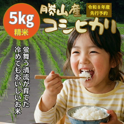 米 コシヒカリ 精米 5kg 令和8年産 先行予約 [A-104002]