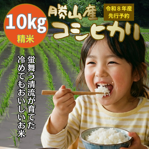 米 コシヒカリ 精米 10kg 令和8年産 先行予約 [A-104003]