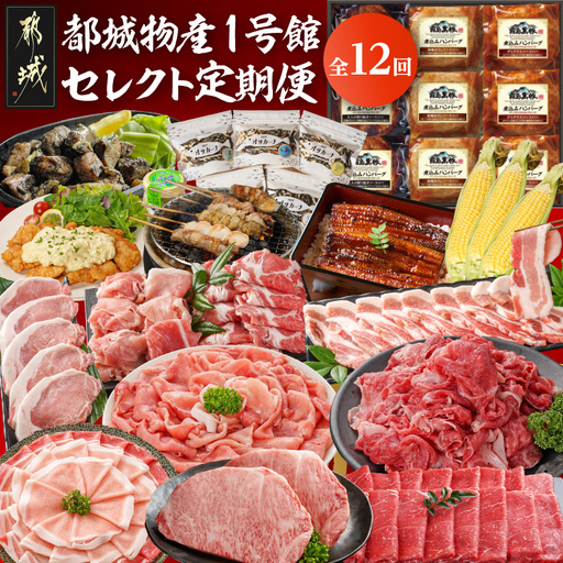 【☆セレクト定期便☆】都城物産1号館☆定期便(12ヶ月)≪2027年お届け≫〔S-001-T12-2027〕_(都城市) 宮崎県 ブランド豚 しゃぶしゃぶ 魚 ナッツ 宮崎牛 黒毛和牛 ステーキ 切り落とし すき焼き チキン南蛮 スイートコーン 味来コーン うなぎ 蒲焼 焼鳥 炭火焼 煮込みハンバーグ 定期便 12回 1年