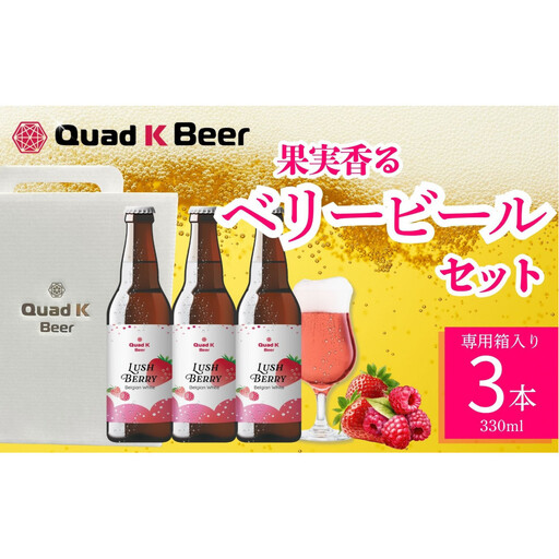 クラフトビール　LUSH BERRY３本セット