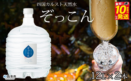四国カルスト天然水ぞっこん 12L×2本 NZS0002