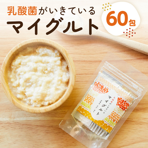 乳酸菌がいきているマイグルト　1ｇ×60包 【kw0134-0068】