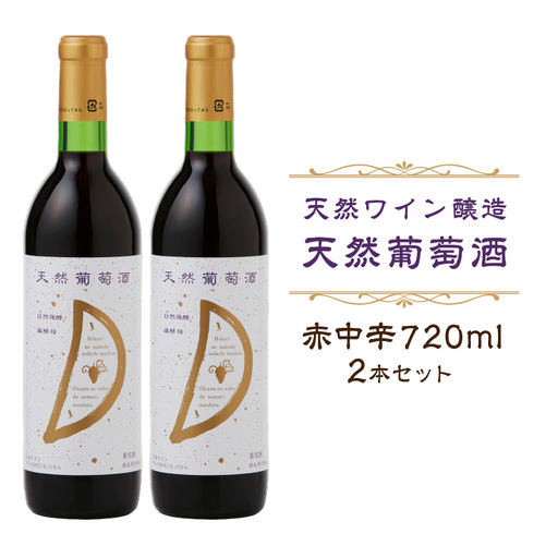 天然ワイン醸造　酸化防止剤無添加　天然葡萄酒　赤中辛 720ml　2本セット 【kw0134-0069】