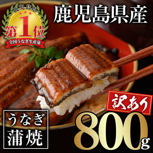 ＜訳あり＞ 無投薬！ 鹿児島県産 うなぎ 蒲焼 セット(計800g・尾数不定) 鰻 きざみ 冷凍【西日本養鰻】A1162