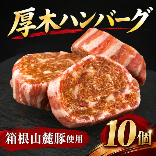 厚木ハンバーグ 10個 ハンバーグ