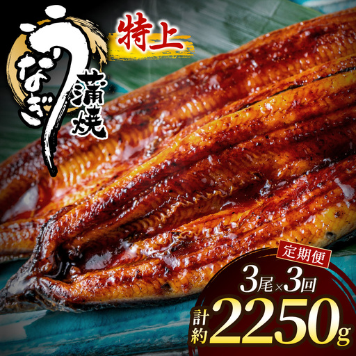 【3回定期便】うなぎ蒲焼き750g以上(250g以上×3尾)【魚住商店】_AM0224-00 うなぎ 鰻 蒲焼 真空パック 福岡県宗像市 宗像市 福岡 宗像