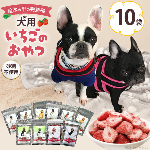 ペットフード 犬用のいちごのおやつ ドライ苺 15g 10袋