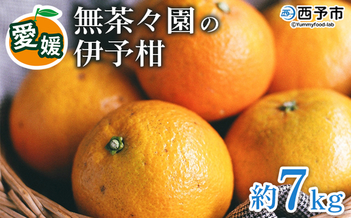 先行予約 ＜無茶々園の伊予柑 約7kg＞ 果物 いよかん イヨカン みかん ミカン 蜜柑 柑橘 フルーツ 選べる内容量 期間限定 季節限定 特産品 愛媛県 西予市【常温】『2027年1月中旬～2月中旬に順次出荷予定』AMC0019