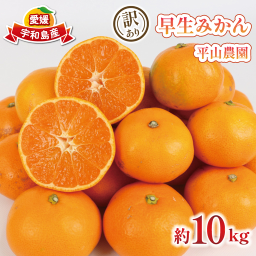 [ みかん ] 訳あり 早生みかん 約10kg 平山農園
