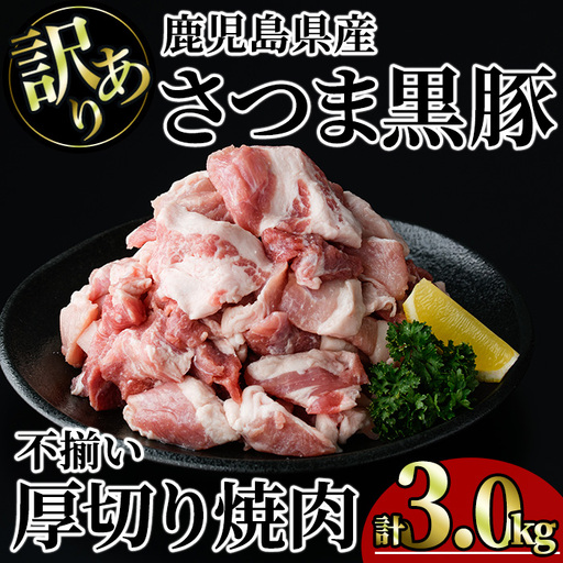 【訳あり】鹿児島県産 さつま 黒豚 不揃い 厚切り 焼肉 (計3.0kg・1.0kg×3P) 鹿児島県産 豚肉 黒豚 【KNOT】 A1168-v01