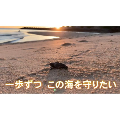 [読谷村の美しい海への寄付][沖縄]ウミガメ保護活動(応援寄付金)沿海環境保全・ウミガメの産卵地・沖縄の海を未来のこどもたちへ