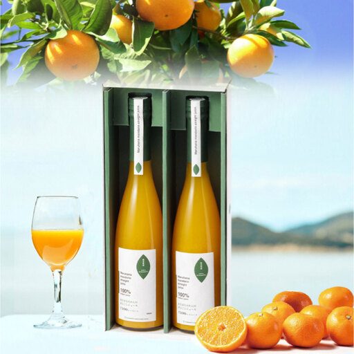 まるはなみかんのまるごとジュース 500ml × 2本 ジュース ストレート ストレートジュース みかん ミカン フルーツ 果汁 果実 果物 くだもの 柑橘 甘味 コク 高濃度みかん 国産 熊本県産