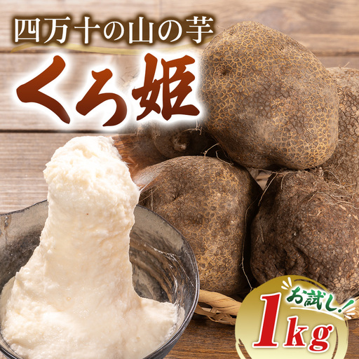 【予約受付】 すり下ろすとわかる粘りと白さ！四万十の山の芋・くろ姫　お試し1キロ／Org-07 山芋 とろろ 長いも 野菜