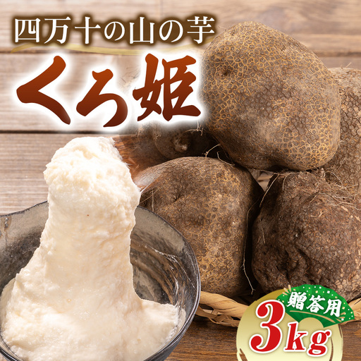 【予約受付】 すり下ろすとわかる粘りと白さ！四万十の山の芋・くろ姫　贈答用3キロ／Org-09 山芋 とろろ 長いも 野菜