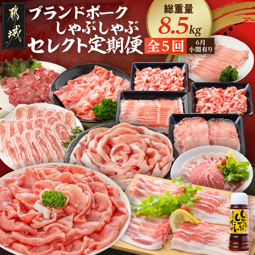 [☆セレクト定期便☆]ブランドポーク☆しゃぶしゃぶ・6月小間有り☆定期便(5ヶ月)≪2027年お届け≫〔T63-5-S009〕_(都城市)