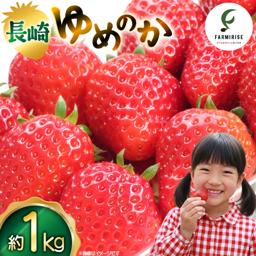 いちご 大粒 先行予約 長崎 ゆめのか 約 1kg