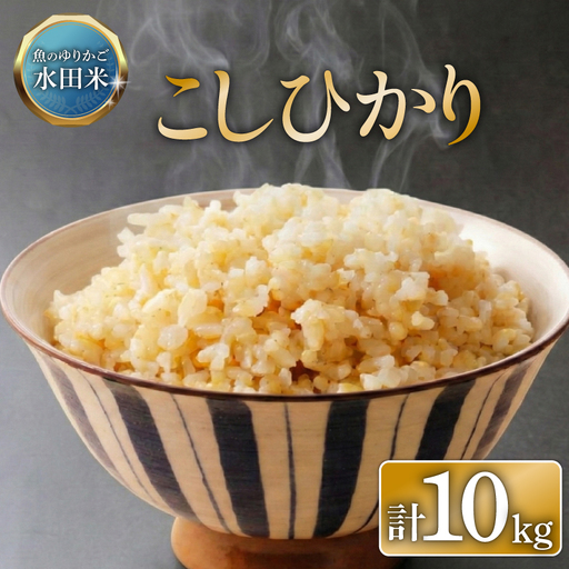 【令和8年産】 環境こだわり栽培 コシヒカリ 10kg 玄米 ひこにゃん米 こしひかり 米 こめ 令和8年 新米 玄米ご飯 滋賀 彦根