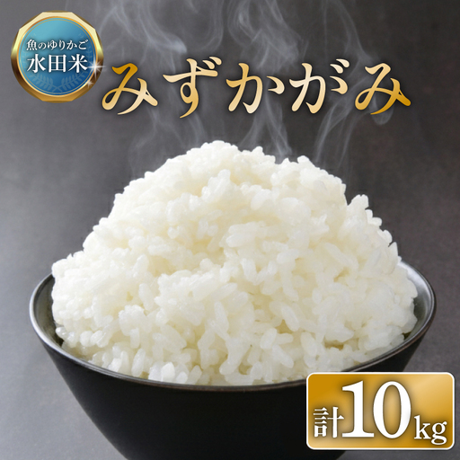 【令和8年産】 環境こだわり栽培 みずかがみ 10kg ひこにゃん米 新米 5kg×2袋 白米 米 コメ お米 ご飯 ごはん 滋賀 彦根
