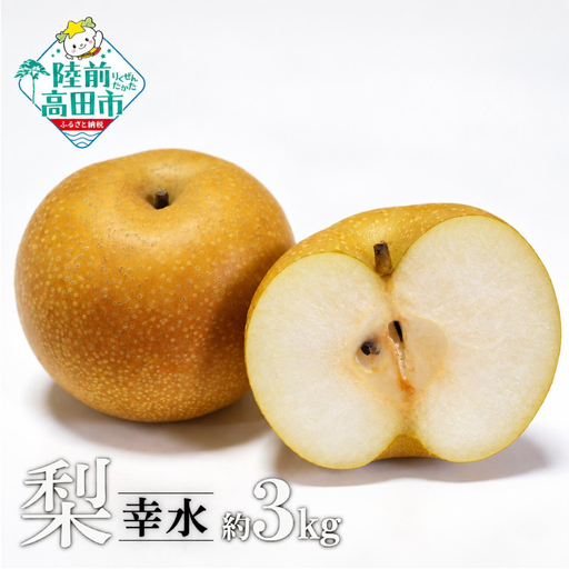 旬の味覚 梨 品種:幸水 約3kg 訳あり ご家庭用 梨