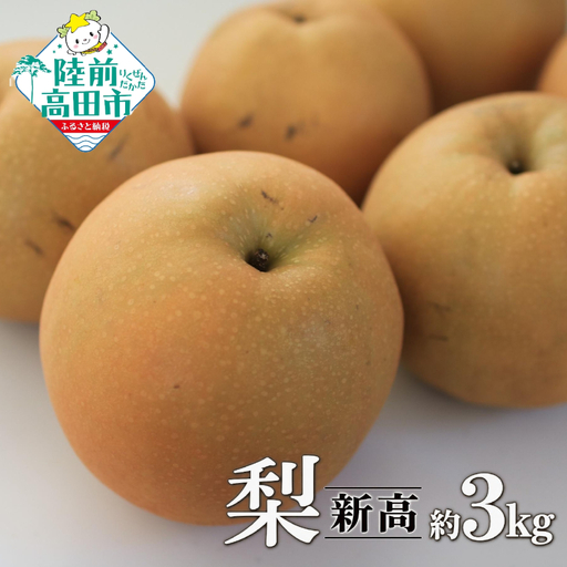 旬の味覚 梨 品種:新高 約3kg 訳あり ご家庭用 梨