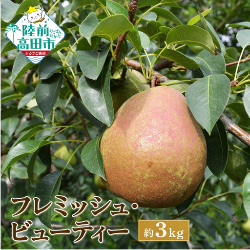 [先行予約] 西洋梨 フレミッシュビューティー 約3kg フルーツ 梨