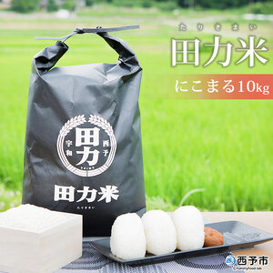 ＜令和7年産 田力米 10kg にこまる＞お米 こめ コメ 白米 精米 ご飯 ごはん 特産品 産地直送 田力本願 愛媛県 西予市【常温】『2025年10月下旬より順次出荷予定』UTH0008