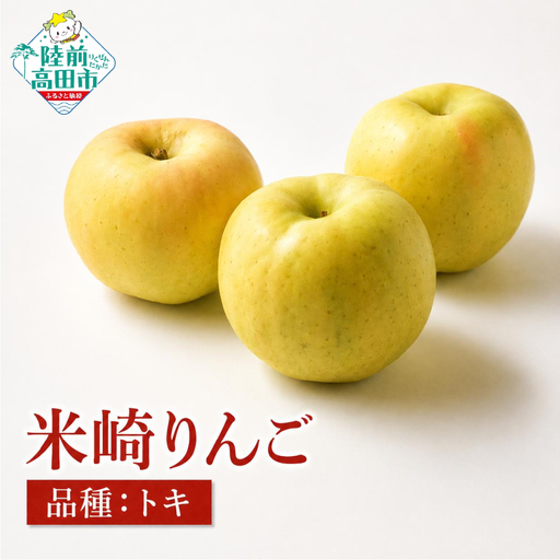 りんご トキ 約2.5kg 果物 米崎りんご マルキヨファーム