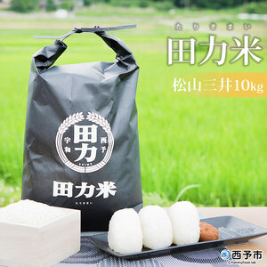 新米＜令和6年産 田力米 10kg 松山三井＞ お米 こめ コメ 白米 精米 ご飯 ごはん まつやまみい 特産品 産地直送 田力本願 愛媛県 西予市【常温】『2024年11月下旬より順次出荷予定』UTH0010