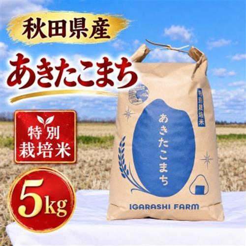 特別栽培米 あきたこまち 白米 5kg【配送不可地域：離島・沖縄県】【1777394】
