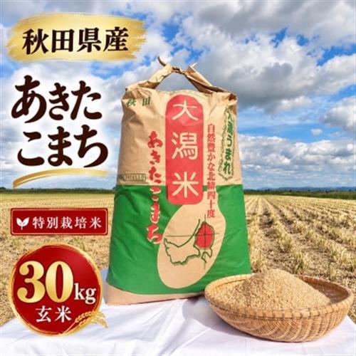特別栽培米 あきたこまち 玄米 30kg【配送不可地域：離島・沖縄県】【1777396】