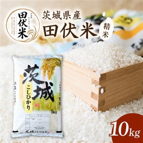 令和8年産 新米 田伏米のコシヒカリ 精米 10kg(1袋) | こしひかり お米 かすみがうら市【1778893】