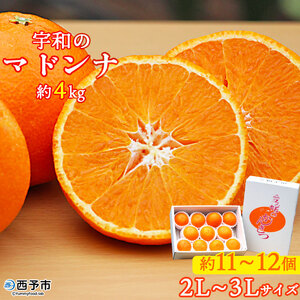 宇和のマドンナ 2L～3L寸（数量限定） UNE0007