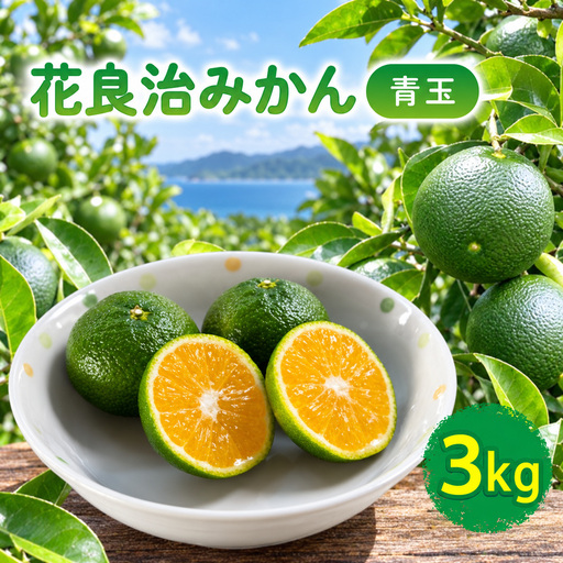 みかん 花良治みかん 青玉 3kg