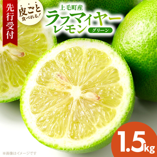[先行受付] 上毛町産ラフマイヤーレモン 1.5kg (グリーンレモン) 