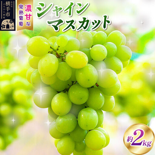 横手市大沢地区産のぶどう(シャインマスカット)約2kg 濃甘な完熟葡萄