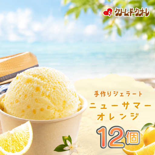 ニューサマーオレンジ ジェラート 12個 オレンジ