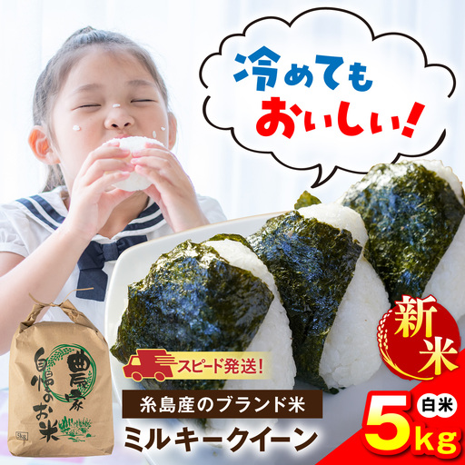 【令和8年産】 ミルキークイーン 白米 5kg 糸島市産 糸島市 / 糸島の恵み コメ こめ ご飯[AGR022]