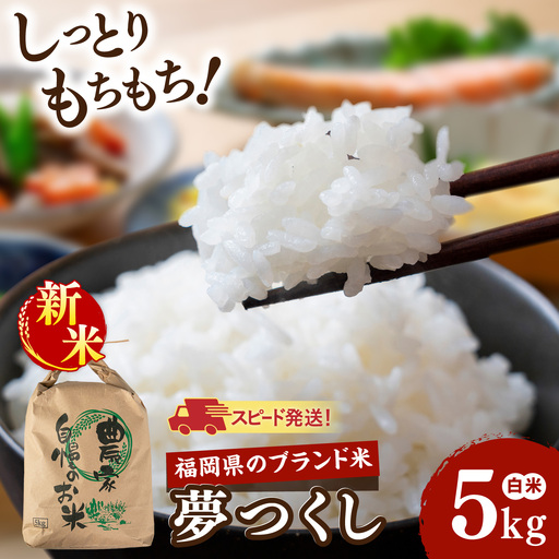 【令和8年産】 夢つくし 白米 5kg 糸島市産 糸島市 / 糸島の恵み コメ こめ ご飯[AGR023]