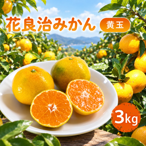 みかん 花良治みかん 黄玉 3kg