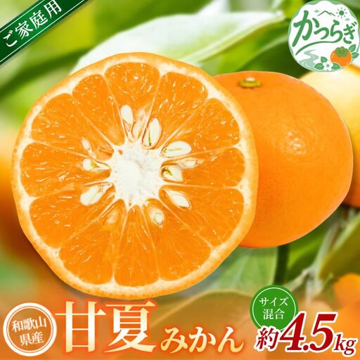 【家庭用】 森本農園の手選別 甘夏みかん 約4.5kg 和歌山県産 サイズ混合 【北海道・沖縄・離島配送不可】【2027年4月上旬～5月中旬頃に順次発送】【BV-mrmt140】
